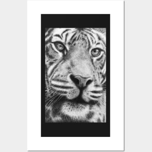 Wildlife Tiger Portrait Posters and Art